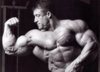 bodybuilding-men-wallpaperbodybuilding-wallpapers-in-hd-l9gdkiuc.jpg