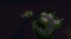 2017-12-07_10.59.42.png