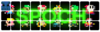 upload_2017-12-18_21-41-9.png