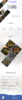 RocaStudios.png