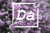 Da Photography.jpg