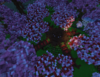upload_2018-2-16_20-54-26.png