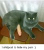 658DDD85-2A2C-45CF-8B14-F1E9D023073D.png