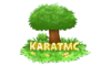 karatmclogonocracks.png