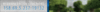 Forest-Under-350-KB.gif