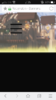 Screenshot_2018-03-12-14-05-19-963.png