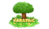karatmclogowithcracks.png