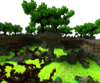 ForestKitPvP2.png