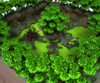 ForestKitPvP1.png