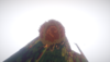 2018-04-09_21.26.30.png