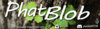 phatblobsignature20.jpg