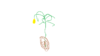 Lemon Tree.png