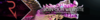 daY3AaE.png