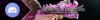 Q1GUdVT.png
