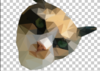 maggieResult.png
