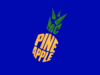 mcpineapple.png