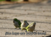 8c76264e4d5e774e556eb93a9bd79398.png