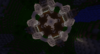 2018-06-02_02.38.22.png