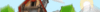 4558601518067339.gif