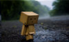 random-pic-14.jpg