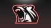 CN Mascot Logo Display.png