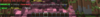 upload_2018-7-13_5-7-41.png