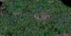 unknown[1].png