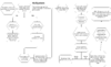 Untitled Diagram (1).png