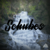 Schubes Profile Picture.png