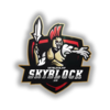 skyblockVIP.png