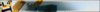 banner 1.gif