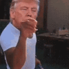 trump.gif