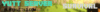 server-banner.gif