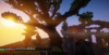 spawn.png