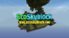 EcoSkyblocks banner.png