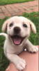 upload_2018-10-18_19-12-54.png