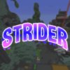 strider.jpg