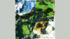 overview 2.png