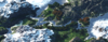 2kworld1-300.png