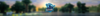 DuskMC Banner Forest.png