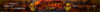 Blazed-Pv-P-Static-Banner1-wm.png