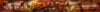Blazed-static-banner2-wm.jpg
