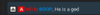 mickeysvouch.png
