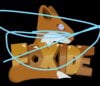 FoxideT.jpg