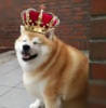 Screenshot_4.png