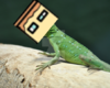 upload_2019-1-11_21-32-55.png