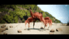 Crab_rave.gif