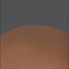 Steve1.png