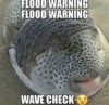 43970787-9F01-4648-9E1F-EA6387DC2B8E.jpeg