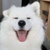 C16DCB48-57EE-4A08-910C-9583DAAA9E51.gif
